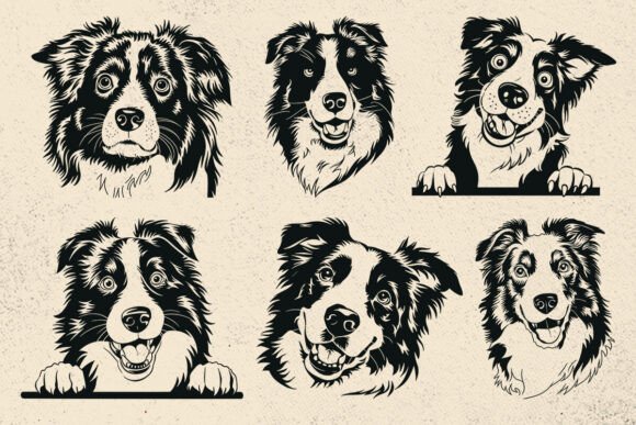 Peeking Personality: Evaluating the Border Collie Svg for Real Embroidery Use